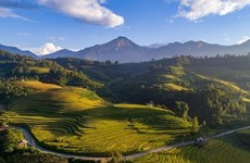 Sapa, Can Tho among most attractive autumn destinations: The Travel