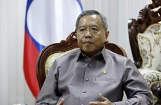 Lao official praises Vietnam’s bamboo diplomacy