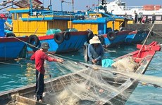 Tien Giang working to handle shortcomings in IUU fishing