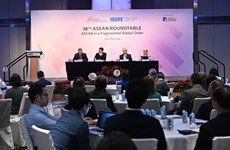 Roundtable stresses AEAN’s importance to shaping rules-based global order