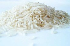 Philippines moves to stabilise rice market