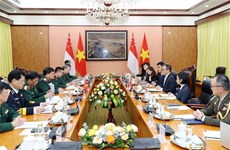 Vietnam, Singapore hold 14th defence policy dialogue