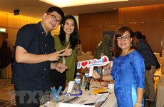 Da Nang city promotes tourism in Indonesia