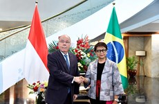 Indonesia calls on Brazil to invest in cattle breeding