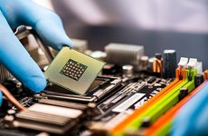 Vietnam to gradually shape semiconductor ecosystem: official