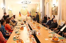 Vietnamese culture, arts preserved, promoted in Germany