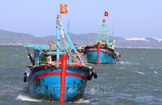 Ministry inspects IUU, disaster prevention in Phu Yen