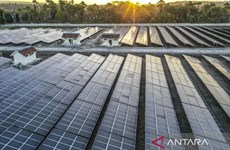 Indonesia plans to develop affordable new energy sources