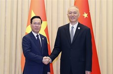 Vietnamese President meets with senior CPC official in Beijing