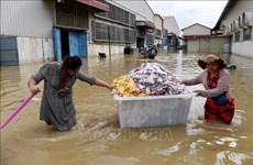 Prolonged rains, floods in Cambodia continue hitting many localities 