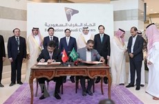 Vietnam, Saudi Arabia sign action programme to boost tourism cooperation
