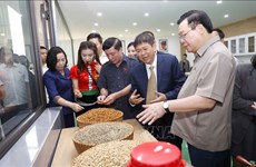 NA leader inaugurates coffee processing factory in Son La
