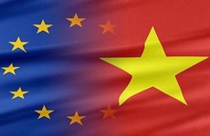 EU always considers Vietnam an important partner: Ambassador