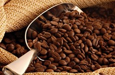 Indonesia promotes coffee exports to Qatar