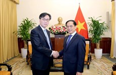 Vietnam, RoK promote strategic dialogue mechanism