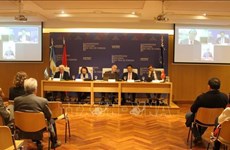 Workshop talks Vietnam-Argentina comprehensive partnership