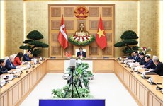 Denmark values ​​Vietnam's role in global cooperation on green transition, sustainable development