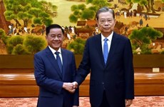Party official highlights relationship with China in Vietnam’s foreign policy