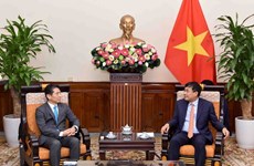 Vietnam considers Japan long-term, important partner: official