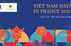 Vietnamese culture introduced in France