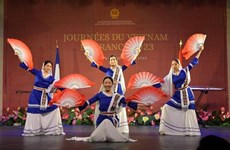 Vietnam Day in France 2023 attracts overseas Vietnamese, friends