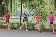 Trang An Marathon makes debut with 3,000 runners