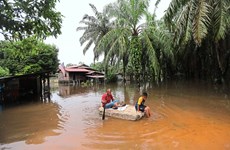 Malaysia establishes over 8,000 flood relief centres