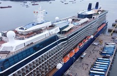 Two luxury cruise liners bring nearly 3,400 European, US tourists to Ha Long