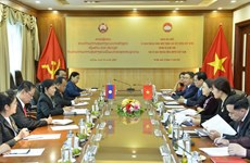 Vietnamese, Lao fronts enjoy fruitful cooperation: officials