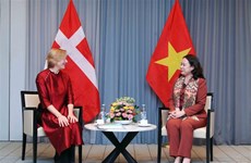 Vice President meets head of Denmark-Vietnam Friendship Organisation