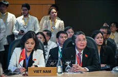 Vietnam attends 31st Meeting of Asia-Pacific Parliamentary Forum