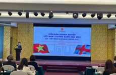 2023 Vietnam-UK Business Forum explores energy, trade opportunities