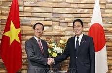 Vietnam-Japan joint statement on elevation of relations to comprehensive strategic partnership