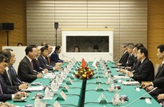 Vietnamese President holds talks with Japanese Prime Minister
