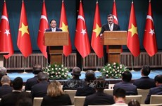 Vietnam, Türkiye agree to work for 4 billion USD in two-way trade 