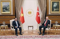 Vietnam, Türkiye to boost multifaceted cooperation