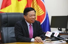 Cambodian NA President’s visit to set new milestone in ties with Vietnam: Ambassador