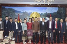 Vietnamese diplomat congratulates Lao provinces on National Day