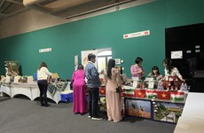 Vietnam participates in diplomatic charity fair in Hungary 