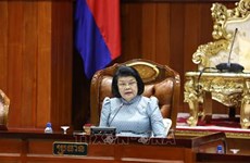 Cambodian NA President’s visit enhances Vietnam – Cambodia traditional solidarity