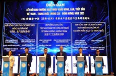 Vietnamese, Chinese firms seal 21 deals across sectors