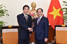 Foreign Minister receives former Special Ambassador for Vietnam-Japan