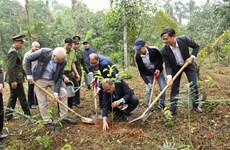 Tree planting marks 50th anniversary of Vietnam – Finland ties