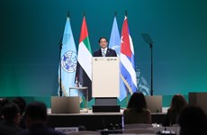 Vietnam suggests climate change cooperation orientations for G77