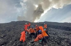 Volcano death toll in Indonesia rises to 22