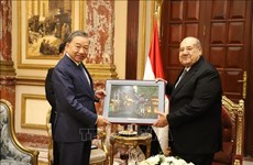 Communist Party of Vietnam delegation visits Egypt
