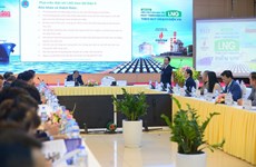Solutions outlined for LNG power development in Master Plan VIII