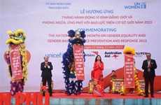 Dien Bien responds to national action month on gender equality