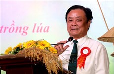 Vietnam Rice Industry Association makes debut