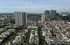 Real estate market to surmount difficulties next year: insiders